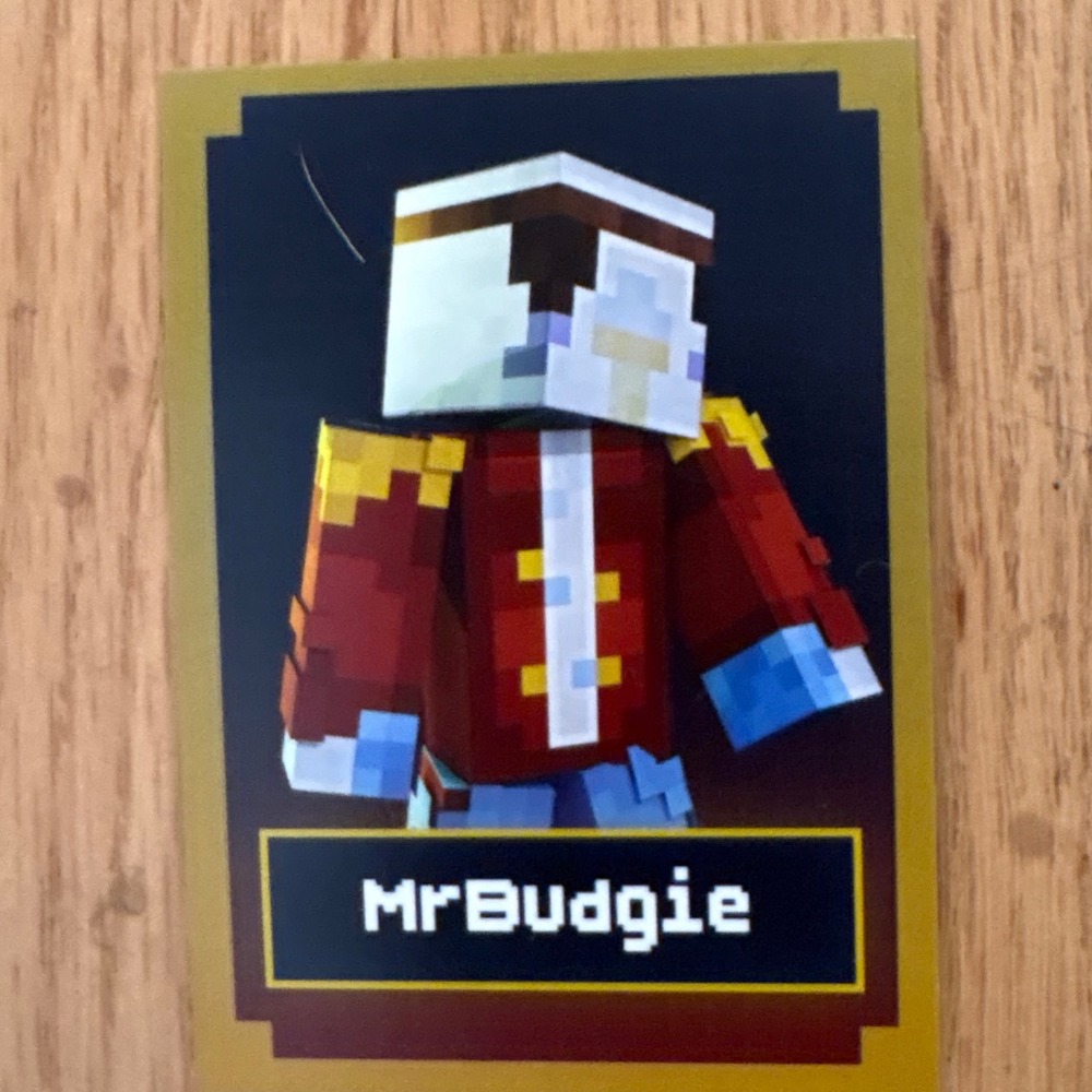 MrBudgie MCSR World Championships Trading Card Minecraft Speedrun Ludwig LA